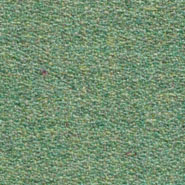 Flora 2_837  Kvadrat